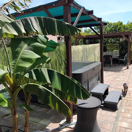 Apartment Dvorak Vir Luaran gambar