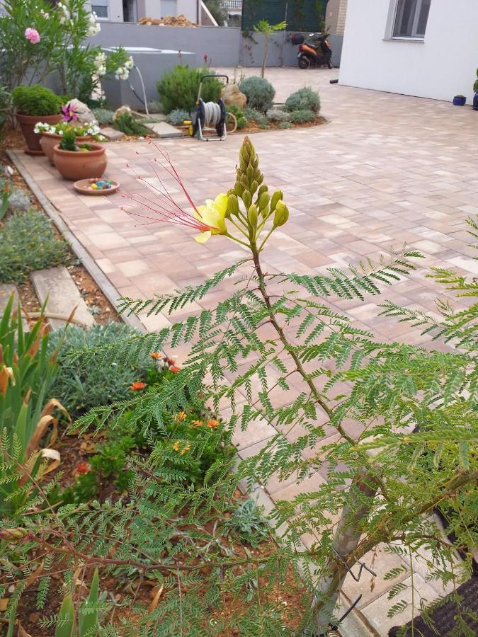 Apartment Dvorak Vir Luaran gambar